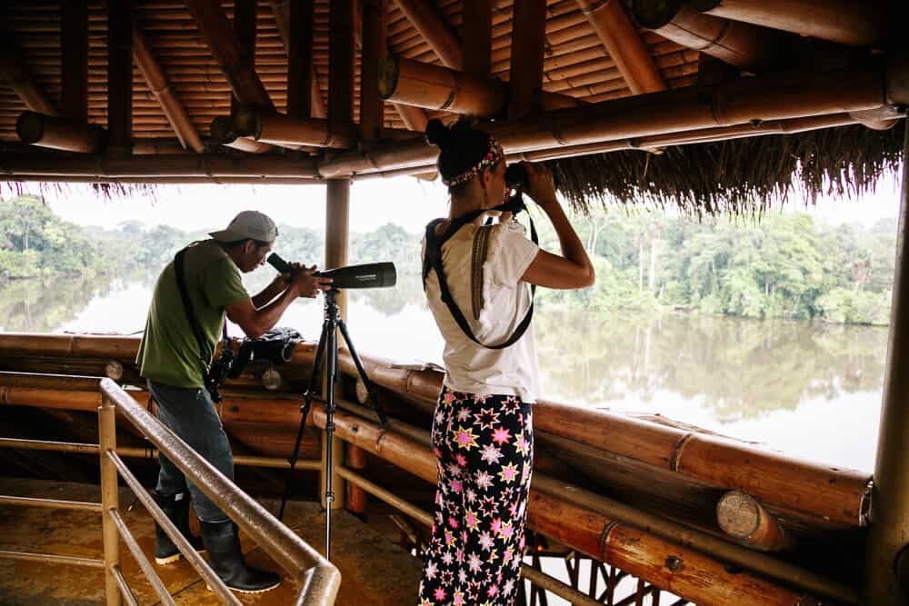 Deborah en gids spotten vogels in Amazone van Ecuador.