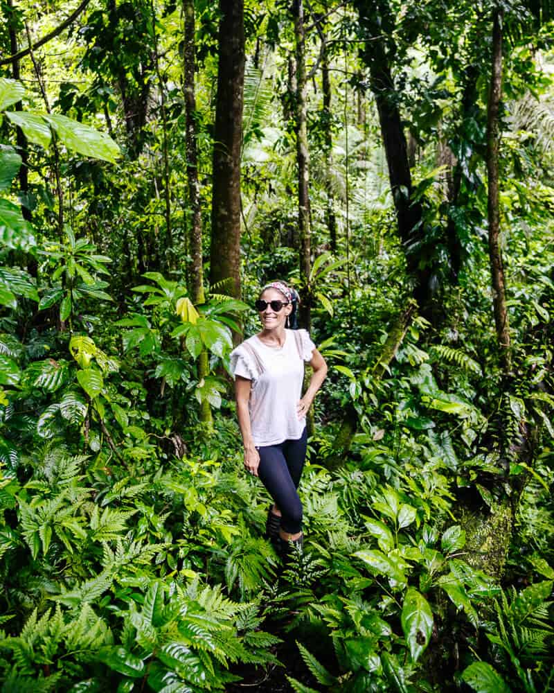 Ontdek La Selva Jungle Lodge, idyllisch gelegen aan Laguna Garzacocha in Ecuador, waar luxe en natuur op een perfecte manier samenkomen. 