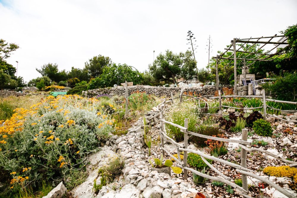 aromatische eilandtuin van Losinj Kroatie