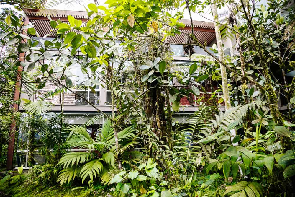 Mashpi Lodge in Ecuador.