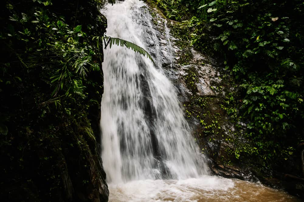 Waterval in Mashpi Reservaat.