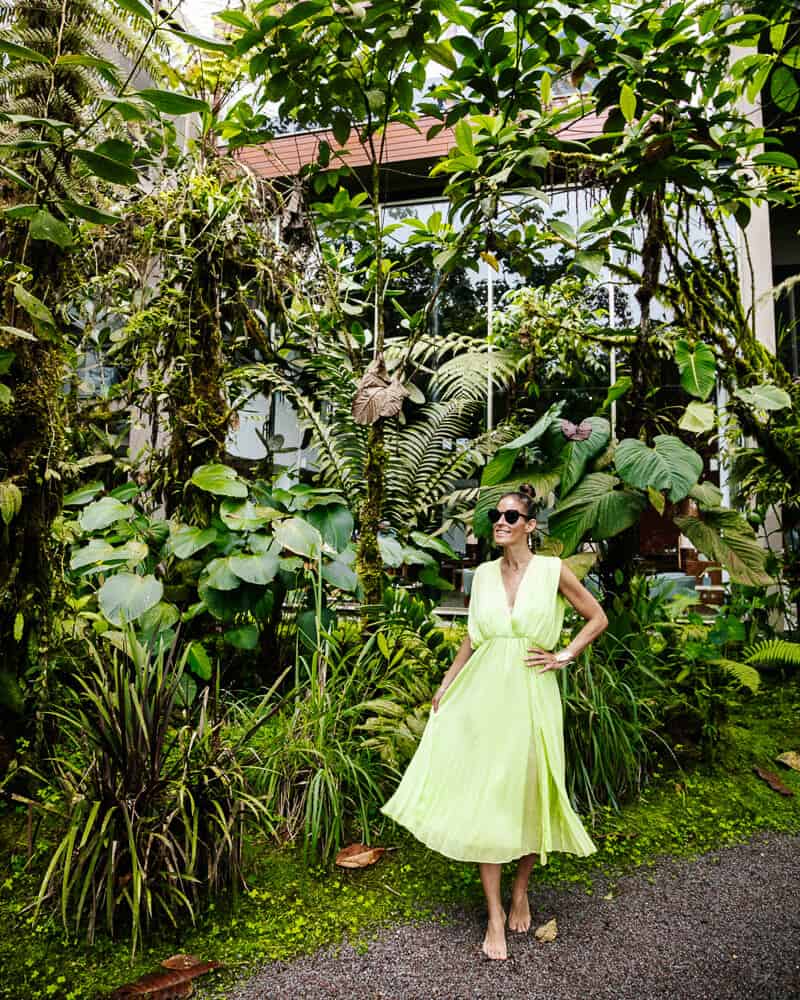 Mashpi Lodge in Ecuador is named one of the most unique lodges in the world by National Geographic. 