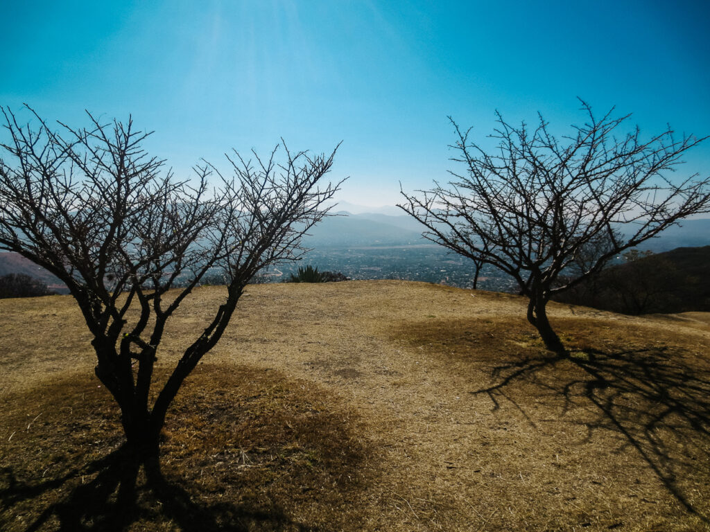 Er zijn verschillende theorieën over de naam van de stad. Monte Albán, betekent “witte berg” en dankt haar naam aan de Cazahuate, een inheemse boom, die in de winter talloze witte bloemen heeft.