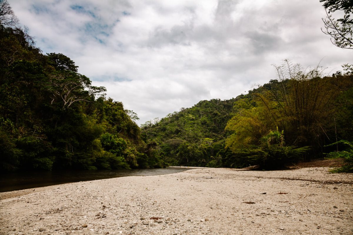 Palomino rivier Colombia