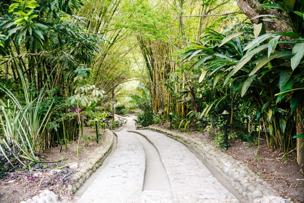 oprijlaan van One Santuario Natural in Colombia