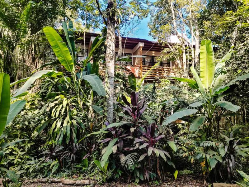 Een van de beste plekken om te overnachten in puerto Maldonado is Kapievi Ecovillage. Deze lodge ligt in een natuurlijke omgeving, net iets buiten het centrum. De kamers zijn comfortabel, er is een zwembad en een fijn restaurant waar heerlijke gerechten worden geserveerd