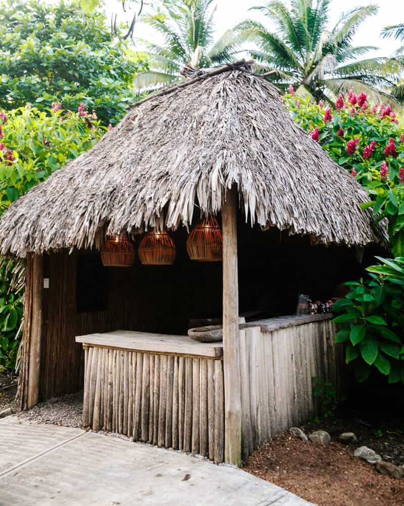 In een traditioneel Maya huisje op het terrein duik je de culinaire wereld van de Maya’s in en ga je aan de slag met mais tortilla’s, chocolade, soep en typische snacks.  