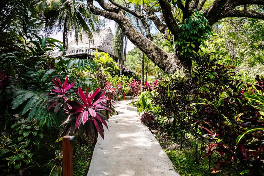 Wandelpaden van The Rainforest Lodge at Sleeping Giant in Belize.