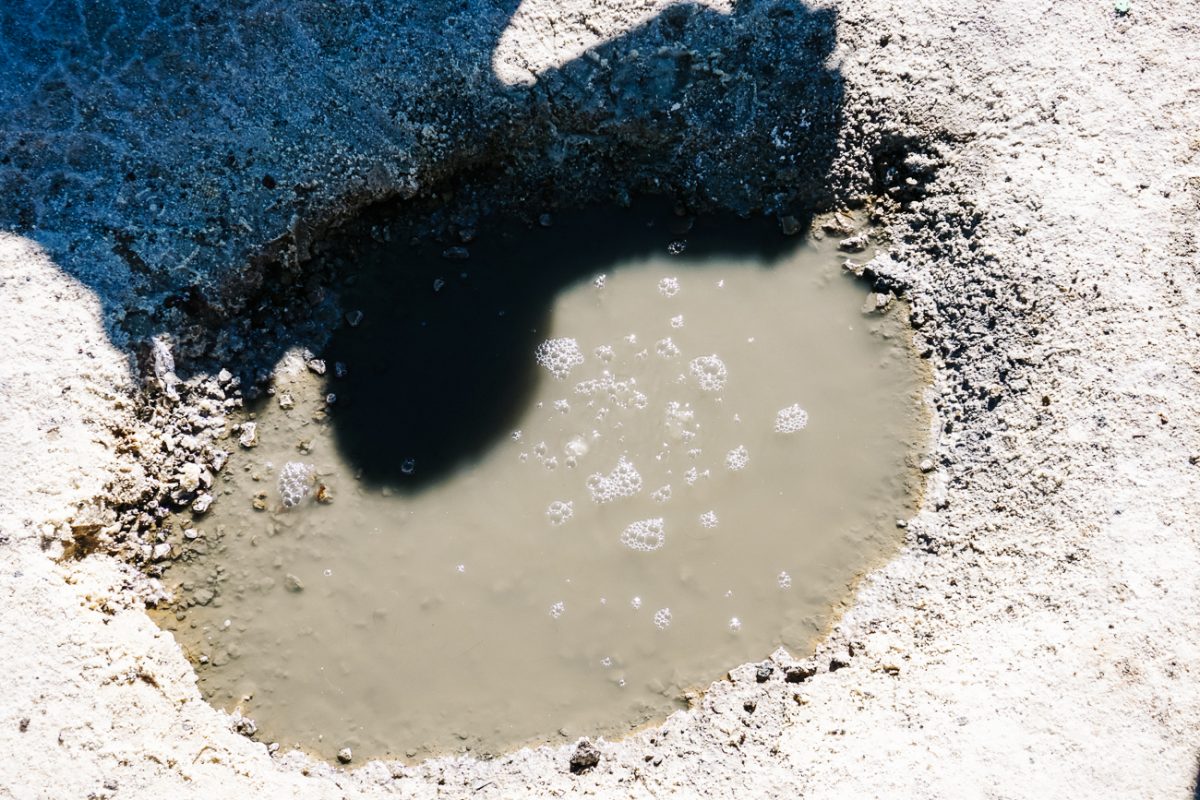 On the edge of the salt flat, you will find the ojos de salar, the eyes of the salt flat. Here the salt is very thin and you can see the water bubbling from the underground rivers, wich comes along with a heavy sulfur odor. 