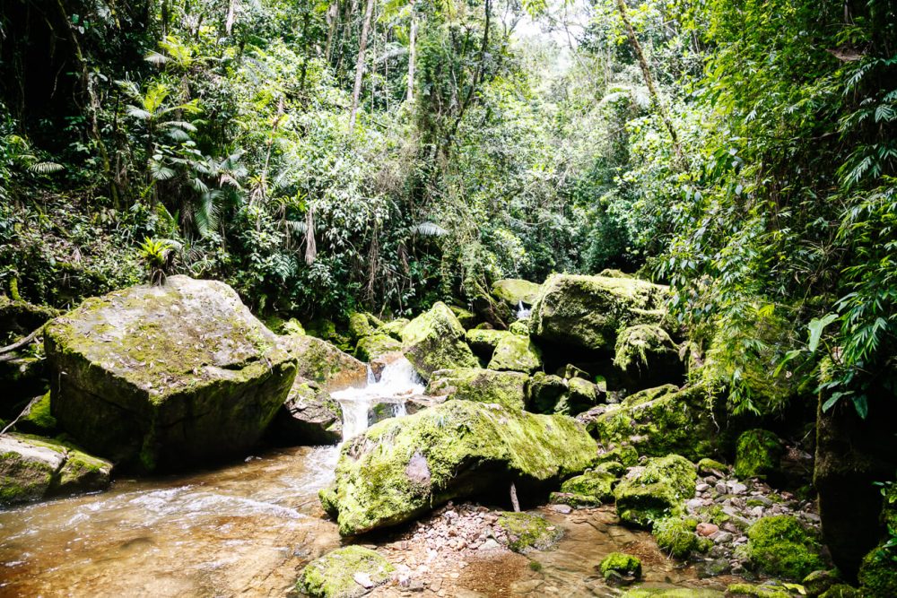 rivier in Reserva Natural y Cascada Los Tucanes