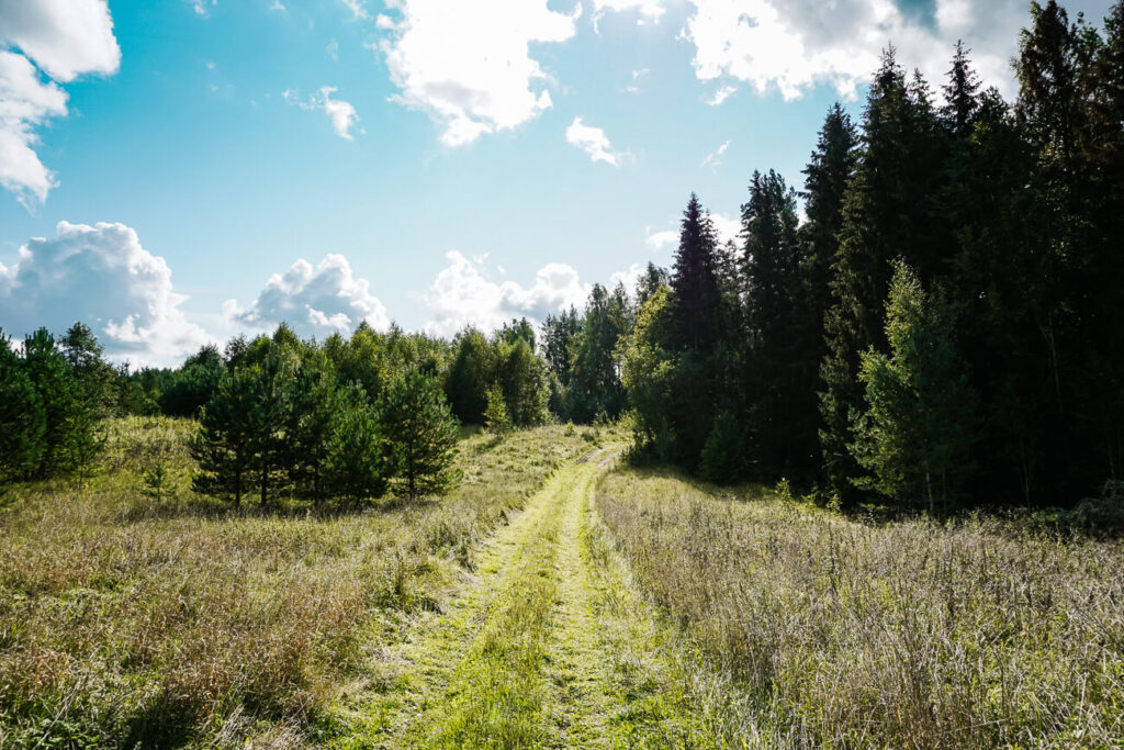 Forest trail - mooie wandelroute in Estland