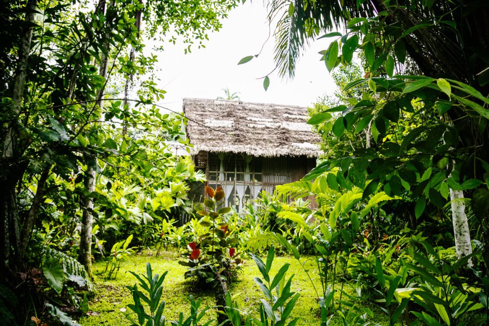 mastercabana in Calanoa jungle lodge in de Amazone van Colombia