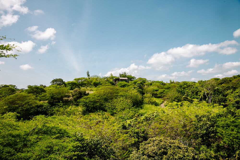 Uitizicht op Ankua Eco Hotel Usiacuri.