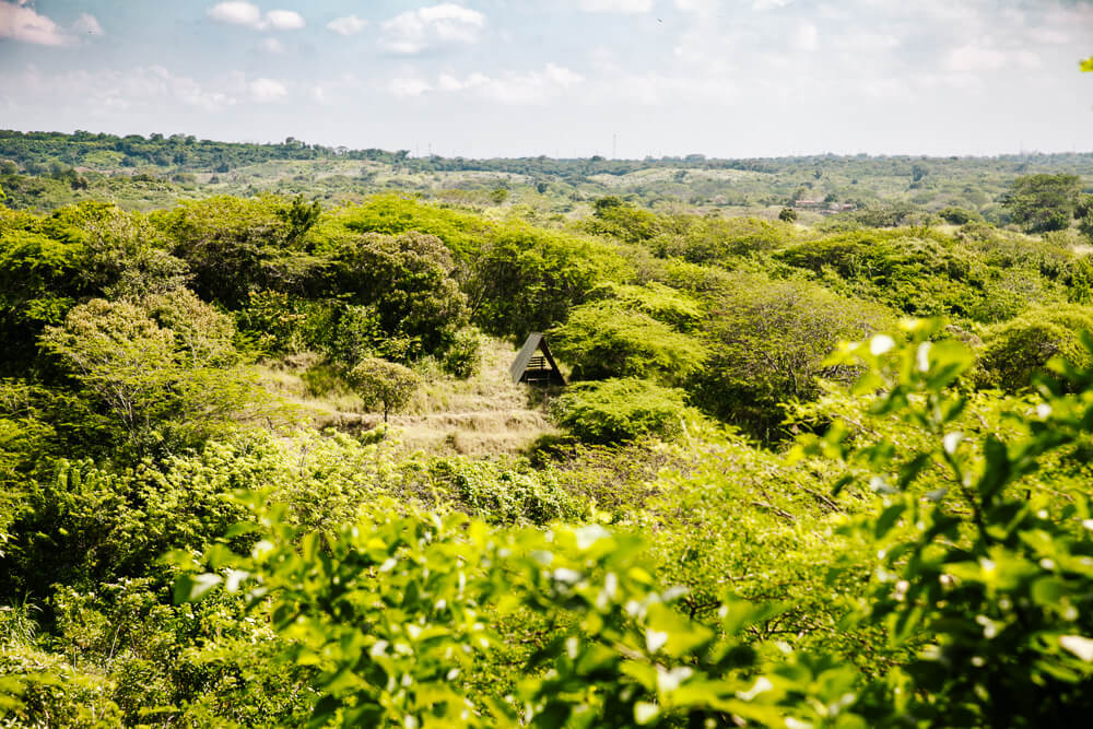 View from Ankua Eco hotel.