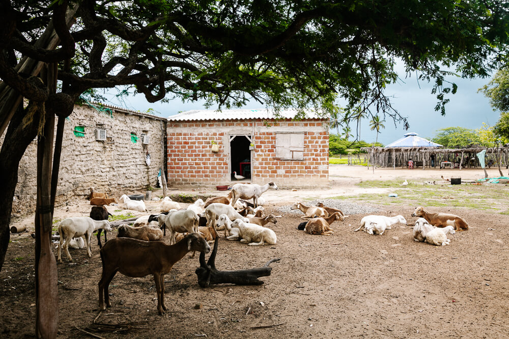 Wayuu community in La Guajira.