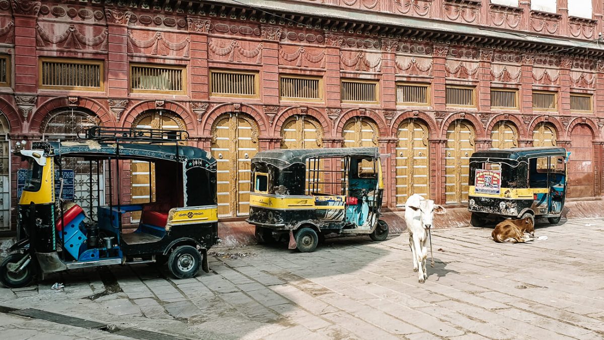 Het allerleukste in Bikaner is om het oude centrum in te lopen en op te gaan in het dagelijkse leven van India.