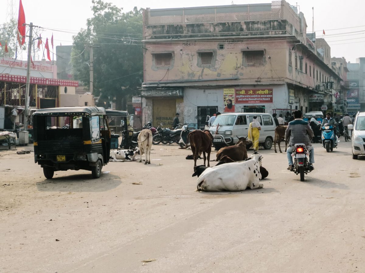 Centrum van Bikaner.