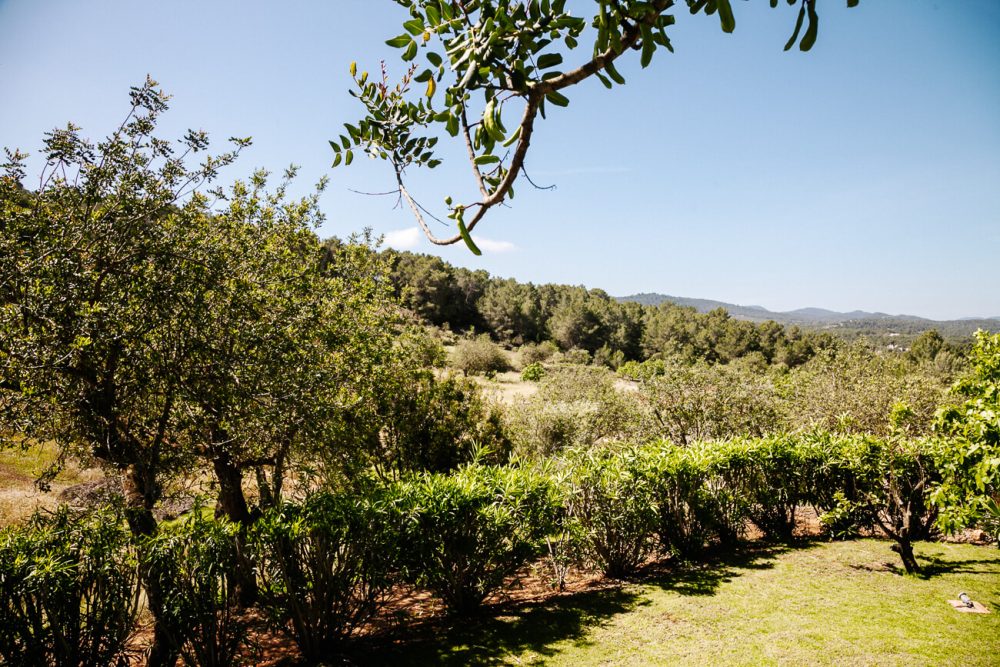 mooie natuur in Ibiza