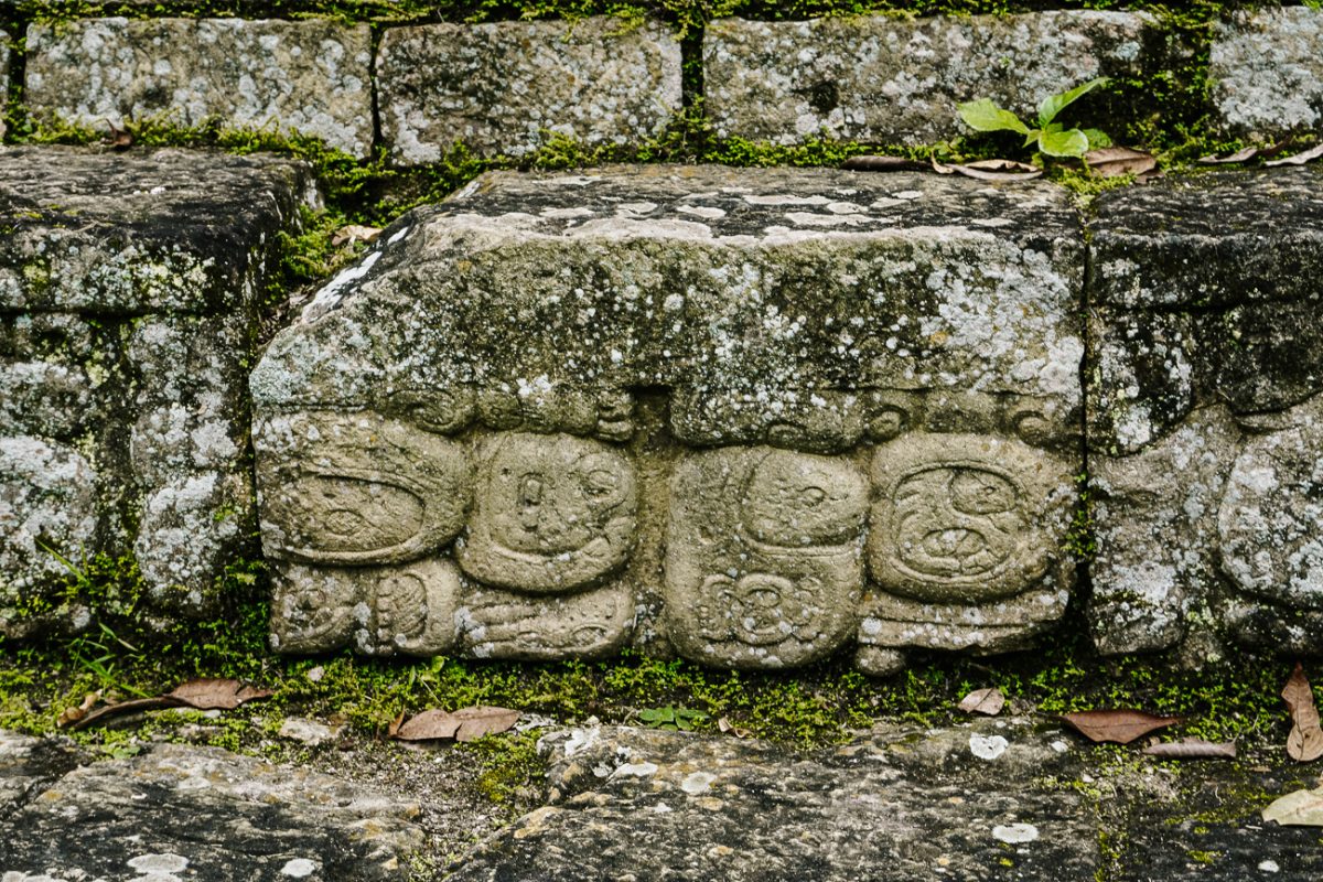 copan ruinas honduras ornamenten