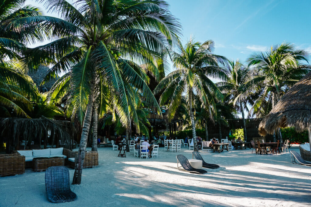 strand met palmbomen op isla de holbox