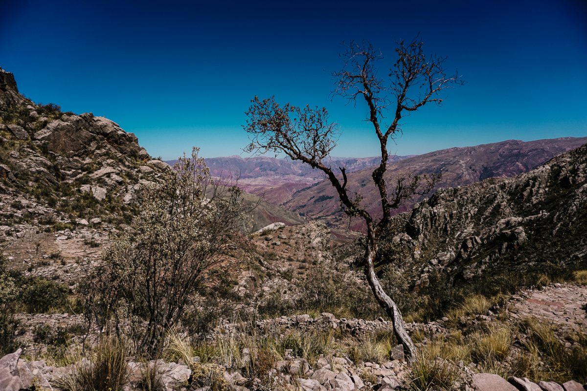 dag hike | Inca Trail Bolivia