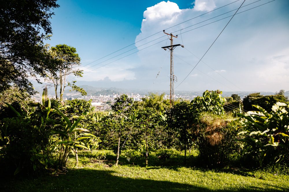 uitzicht vanaf Finca Cafe Don Manolo op Pereira