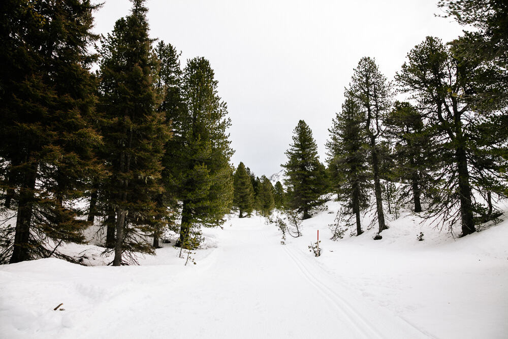 De omgeving van Innsbruck biedt in de winter talloze mogelijkheden voor het maken van een winterwandeling.