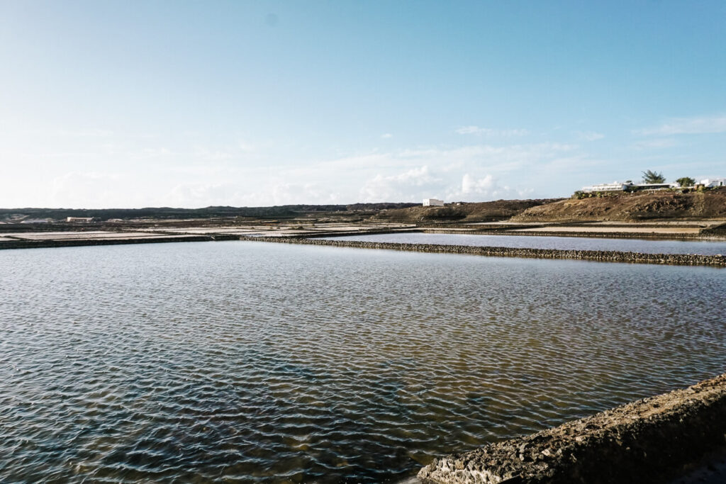 Salinas de Janubio - zoutpannen Lanzarote