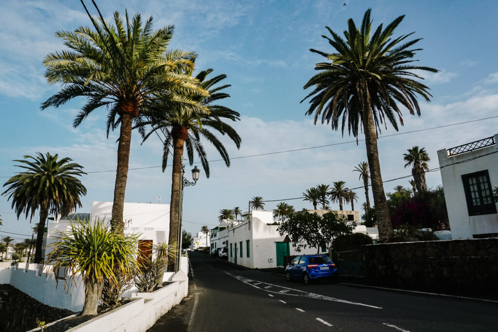 witte huizen en palmbomen in La Haria. La Haría ligt prachtig in een vallei met palmbomen en is een dorpje wat minder wordt bezocht dan Teguise.