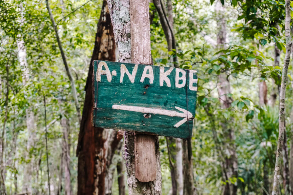 Nakbe in Guatemala