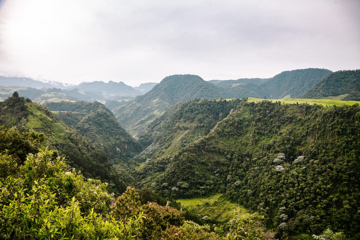 View from El Nido del Condor, one of the best ecolodge hotels in Colombia.