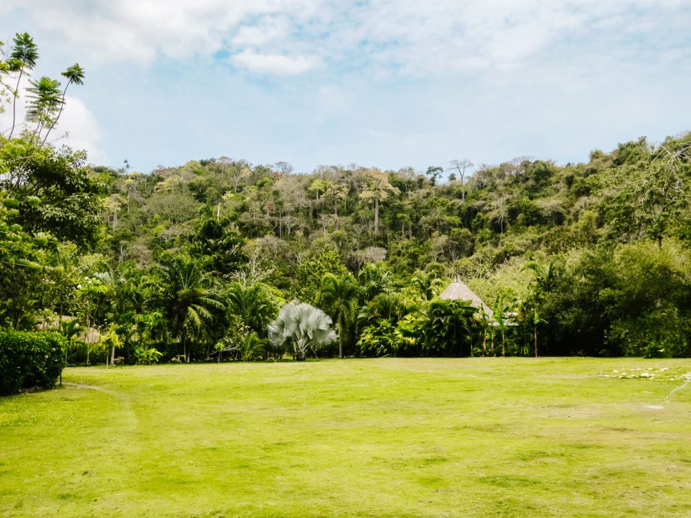 One Santuario Natural - One Love Hotel Palomino in Colombia