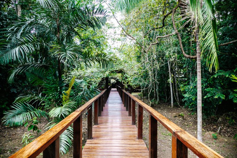 De verhoogde wandelpaden van de jungle lodges van Rainforest Expeditions in Tambopata Peru!