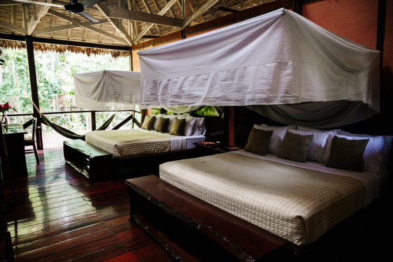 kamer zonder raam met blik op jungle met grote bedden bij Refugio Amazonas - jungle lodge Tambopata Peru van Rainforest Expeditions