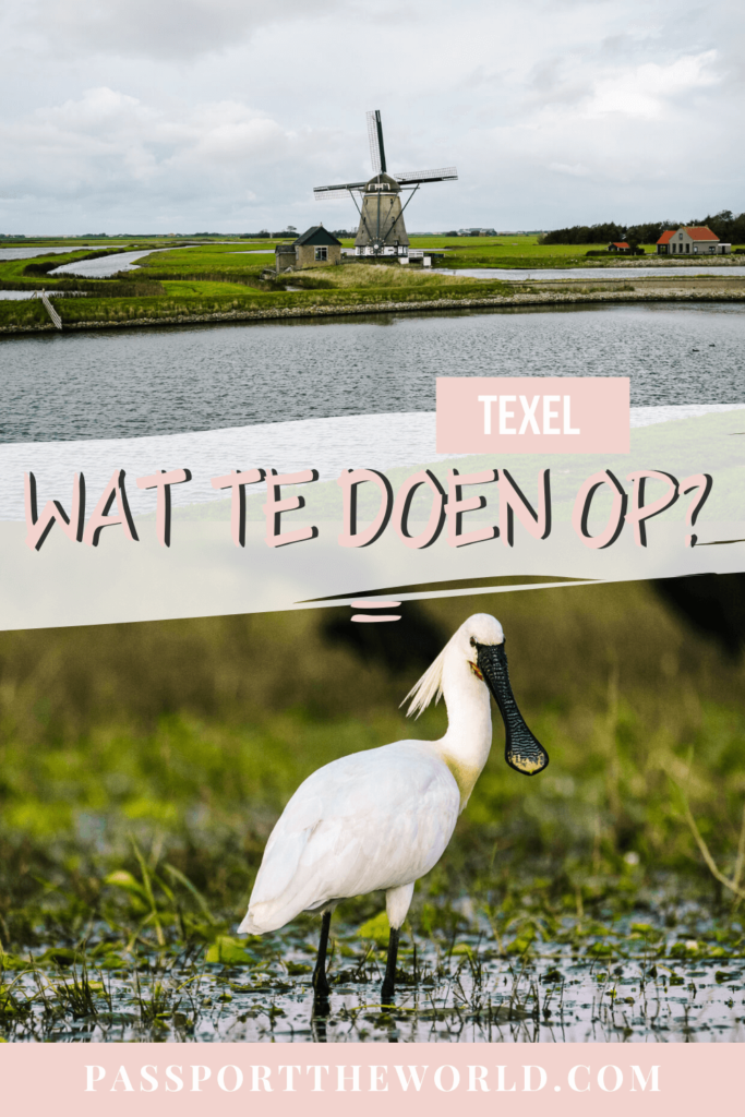 TEXEL PIN