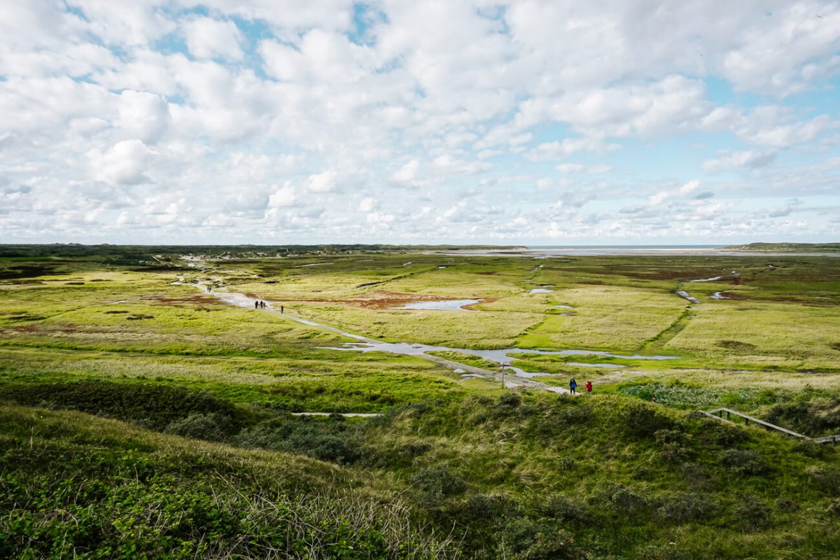 Texel activiteiten | wandelen in de slufter