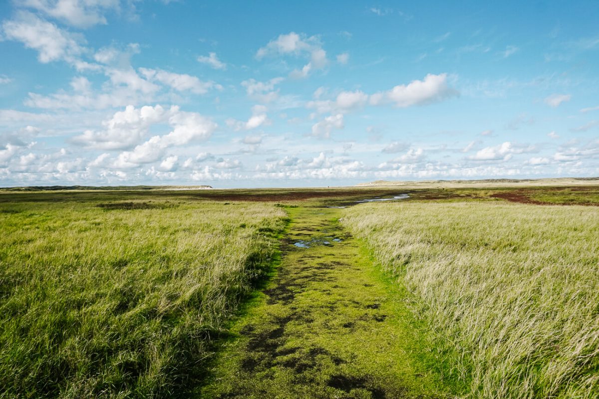 Texel activiteiten | wandelen in de slufter