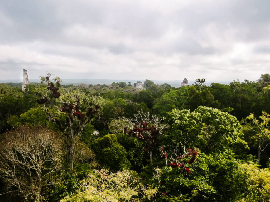 uitzicht mundo perdido Tikal National Park Guatemala