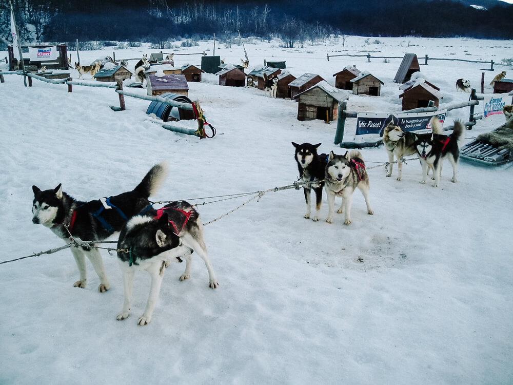 Discover a dog sledding tour, one of the best things to do in Ushuaia Argentina in winter, in my travel guide.