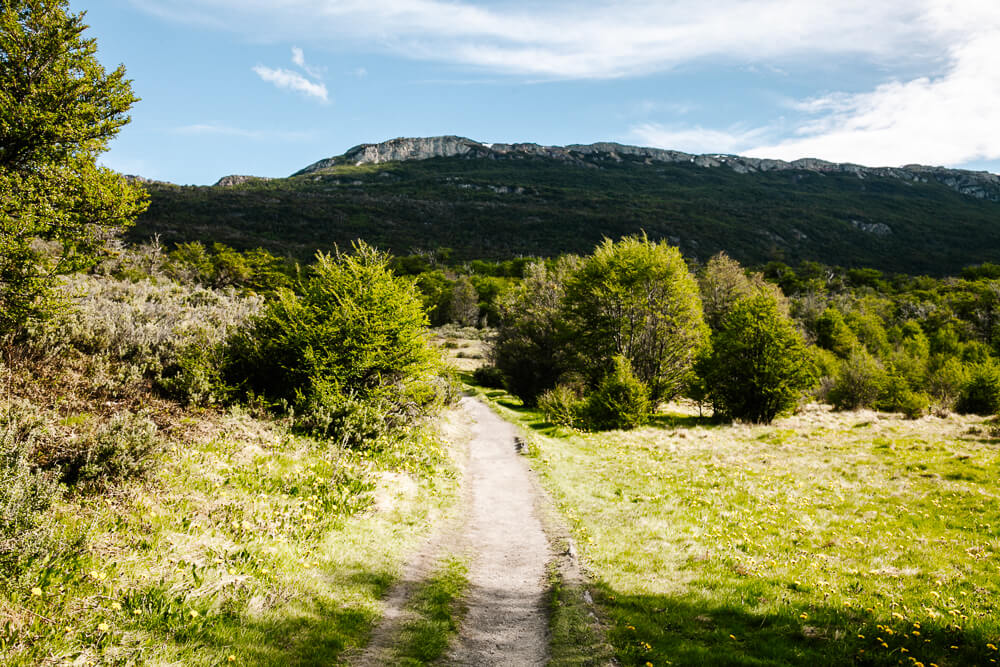 Tierra del Fuego Argentinie, een van de meest zuidelijke nationale parken ter wereld.