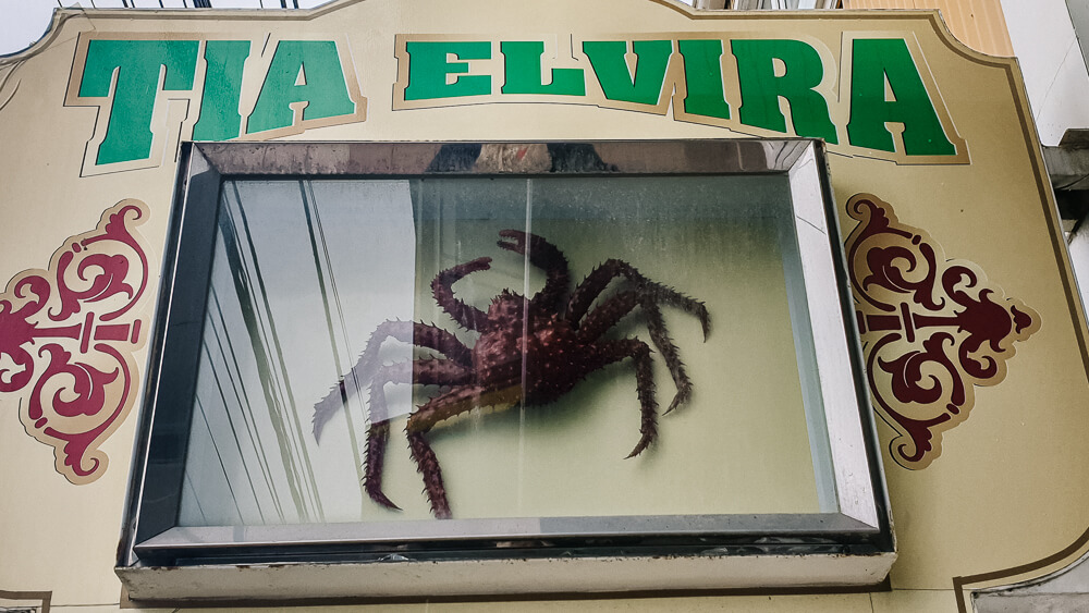 Everywhere in Ushuaia Argentina you will find the famous centolla, king crab, or the Patagonian king crab on the menu